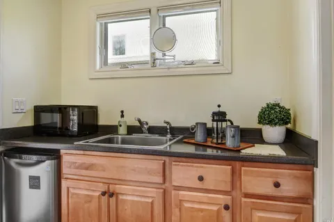 a kitchen with sink a microwave and potted plant on the counter