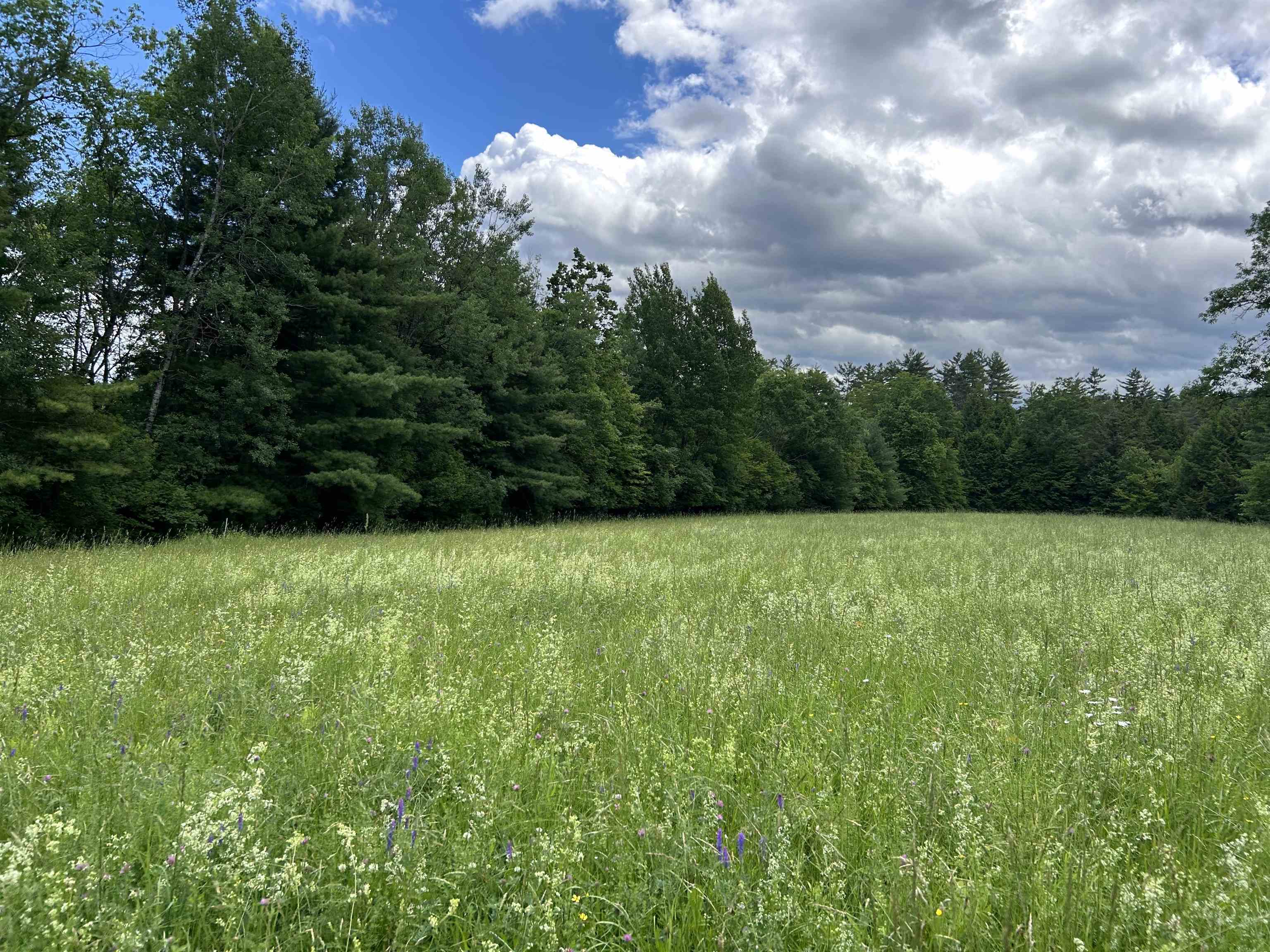 4 Cutler Road Plainfield, NH 03781 - Photo 14 of 28