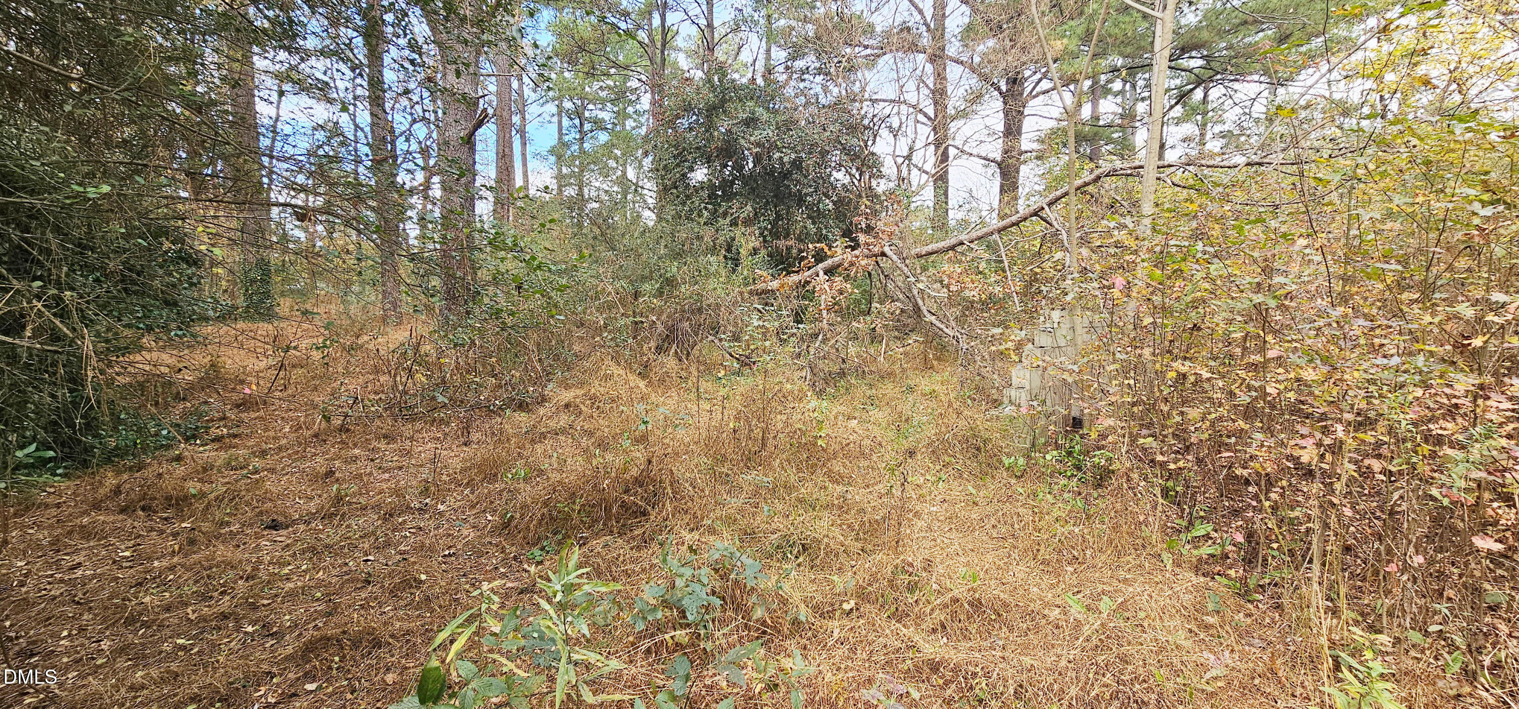 6026 Colonial Drive Raleigh, NC 27603 - Photo 11 of 13 a view of a yard with a tree