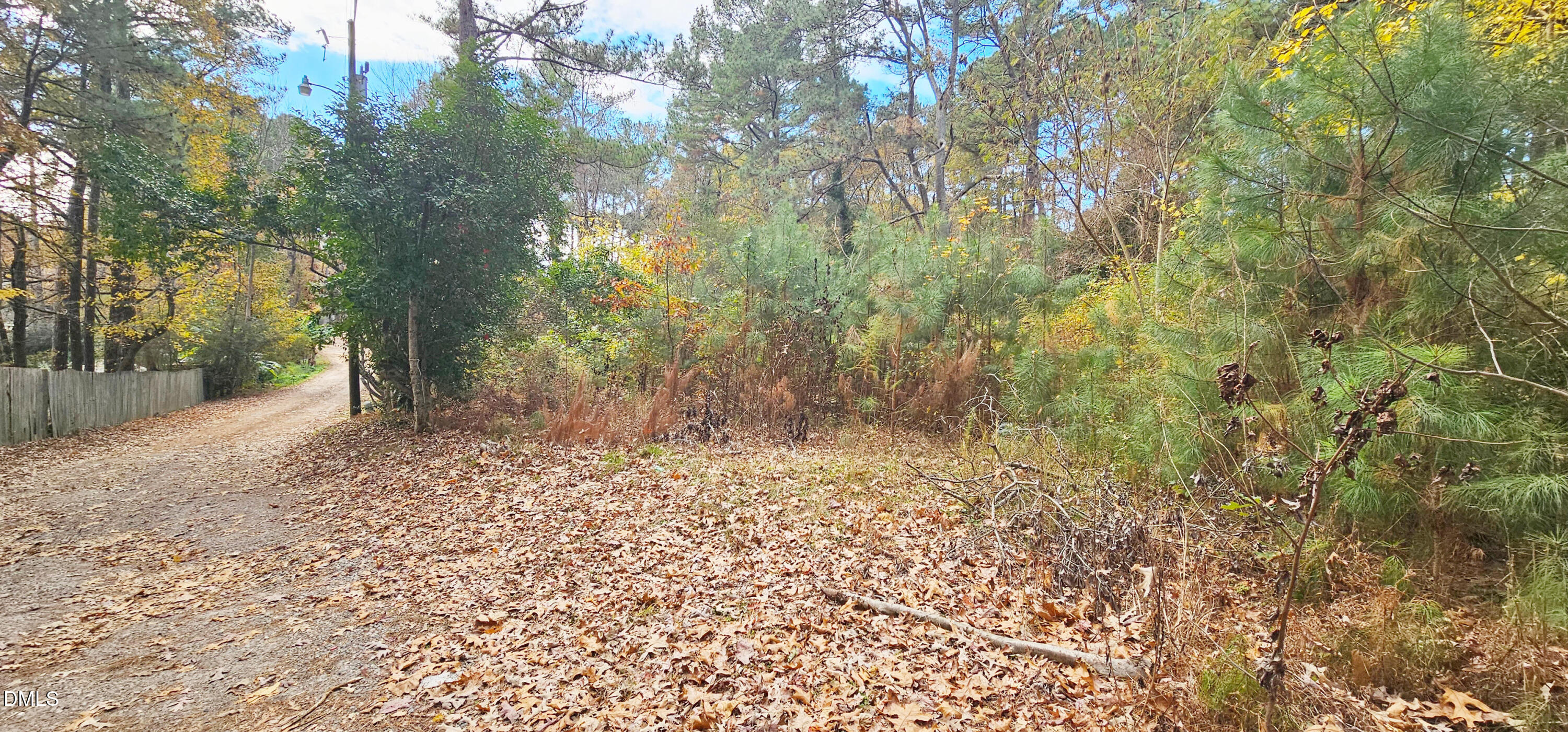 6026 Colonial Drive Raleigh, NC 27603 - Photo 12 of 13 a view of a yard with trees
