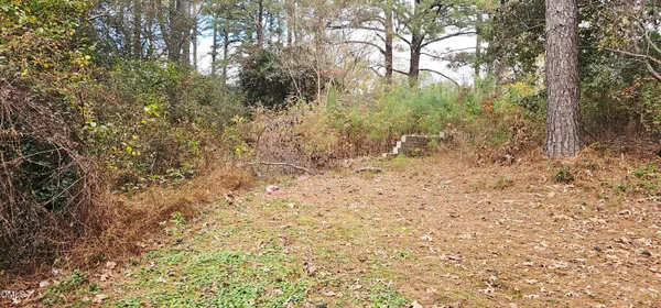 a view of a yard with trees