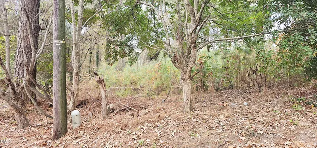 a backyard of a house with lots of green space