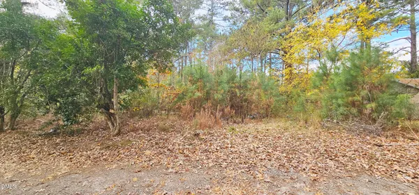 a view of a forest with trees