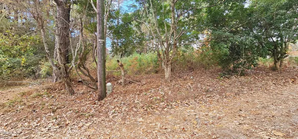 a view of backyard with green space