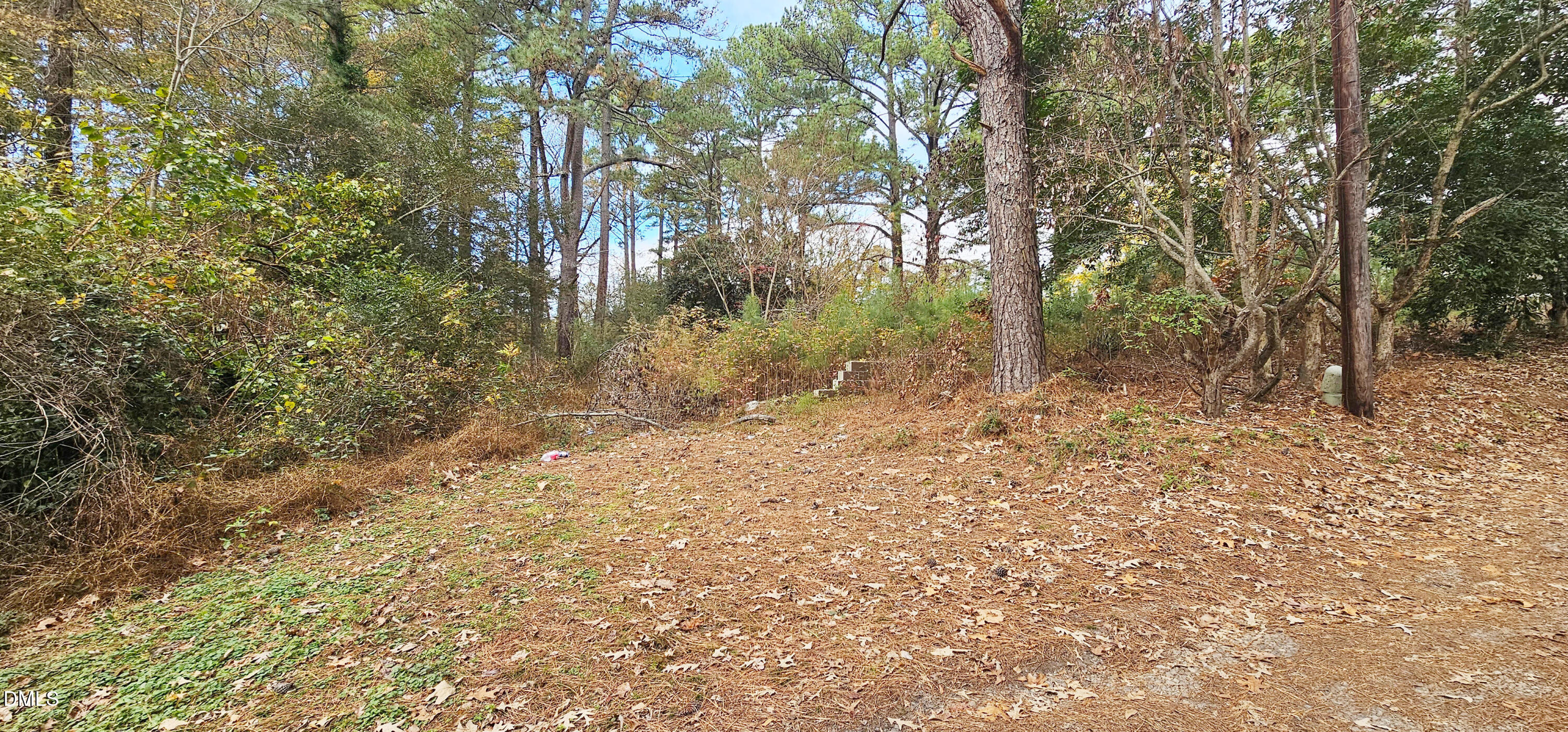 6026 Colonial Drive Raleigh, NC 27603 - Photo 8 of 13 a view of backyard with green space