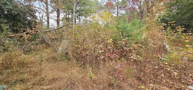 a view of a yard with trees