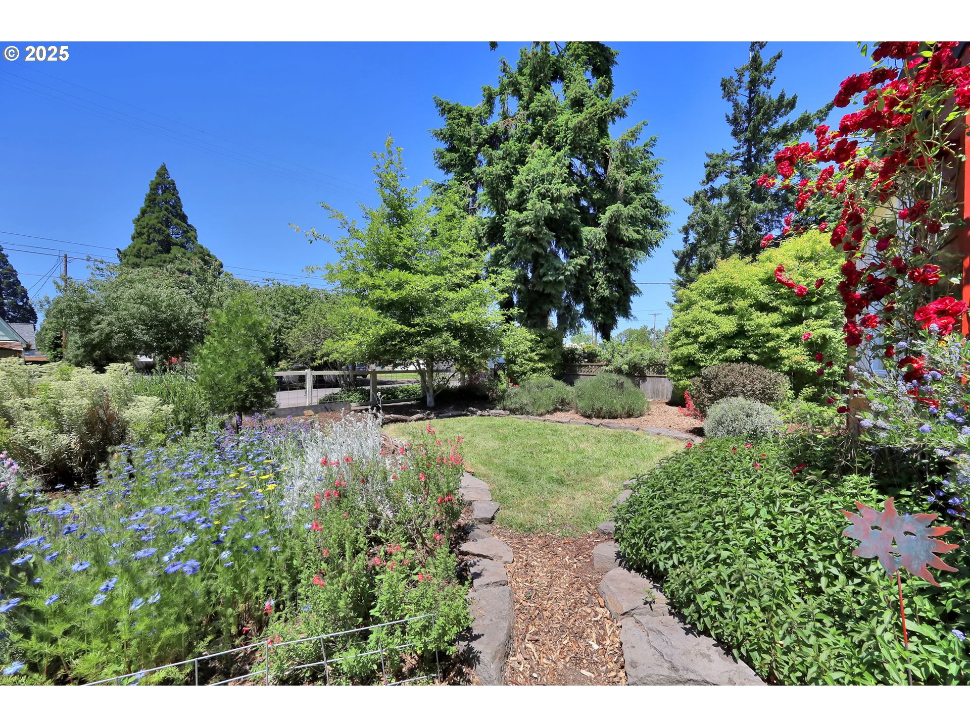 1119 7th Street Springfield, OR 97477 - Photo 3 of 43 a view of a garden with plants