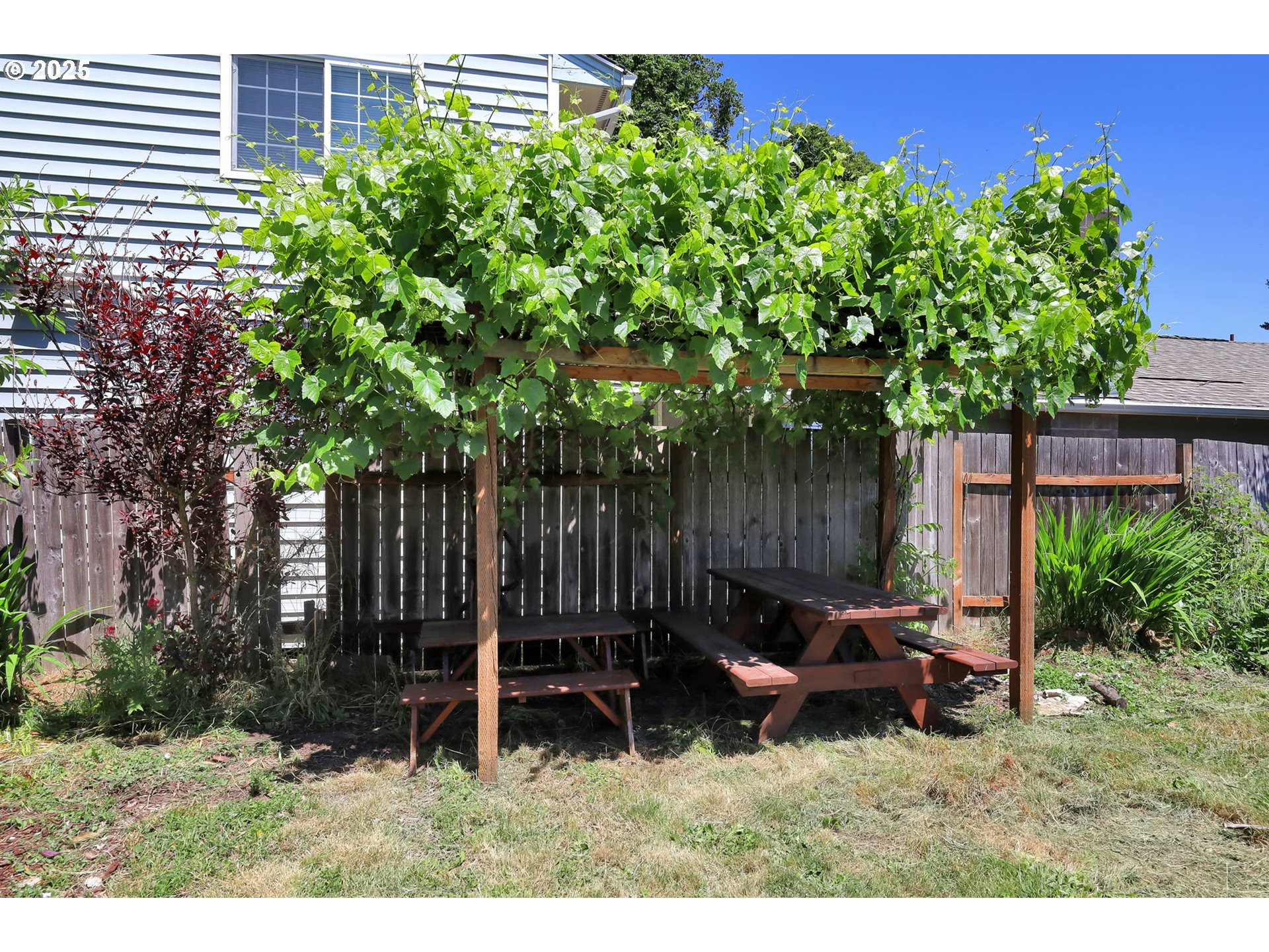1119 7th Street Springfield, OR 97477 - Photo 38 of 43 a backyard of a house with yard and outdoor seating