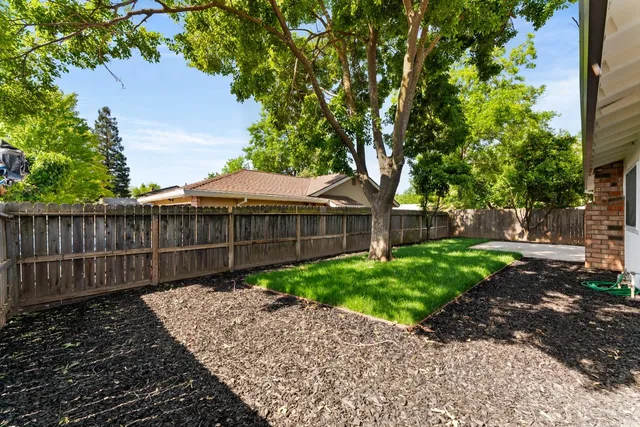a view of a backyard with a large tree and wooden fence