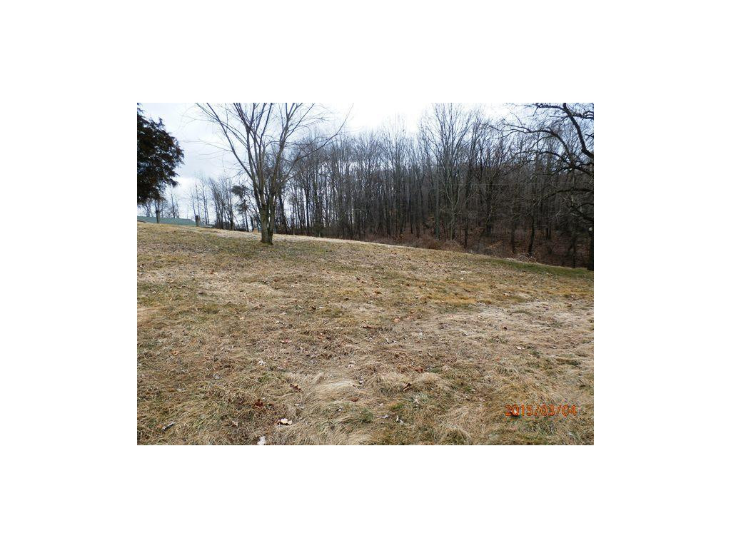 334 Clark Road Bristol, TN 37620 - Photo 13 of 14 Yard View