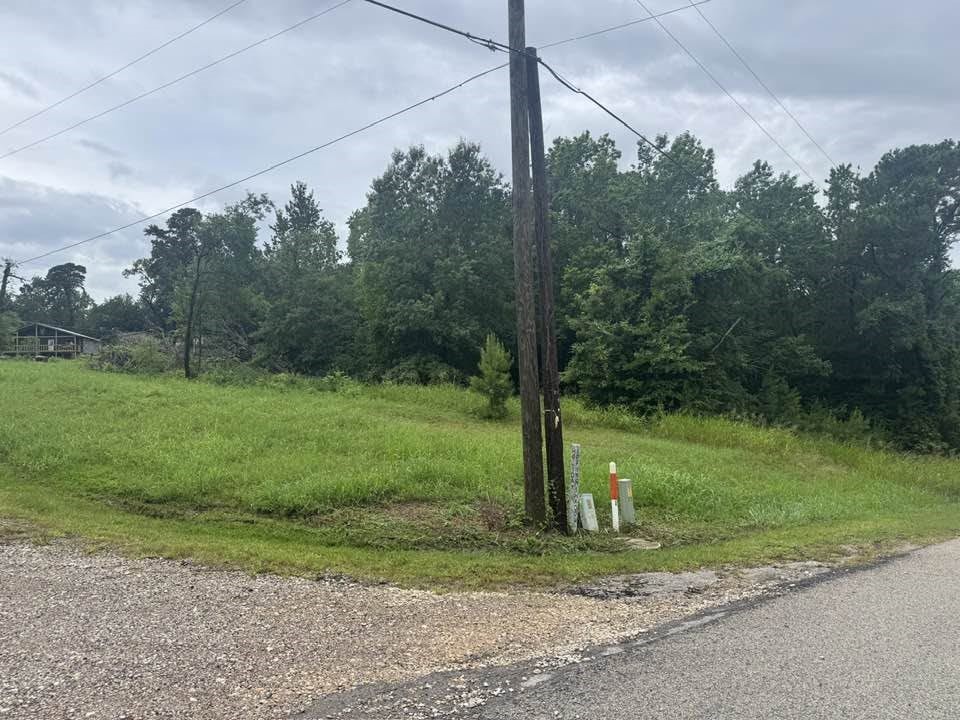 Tbd Holiday Boulevard Coldspring, TX 77331 - Photo 4 of 5