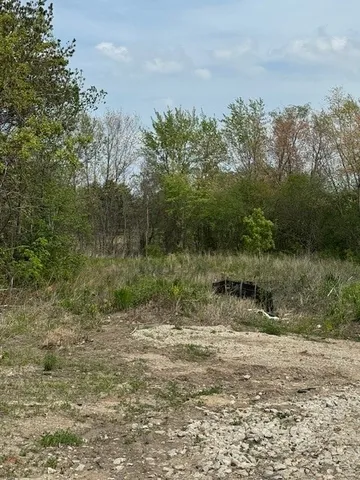 a view of a lake with trees all around