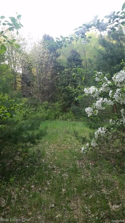 Parcel 2 B Silver Lake Road Brighton, MI 48116 - Photo 2 of 16 Gallery Image 2