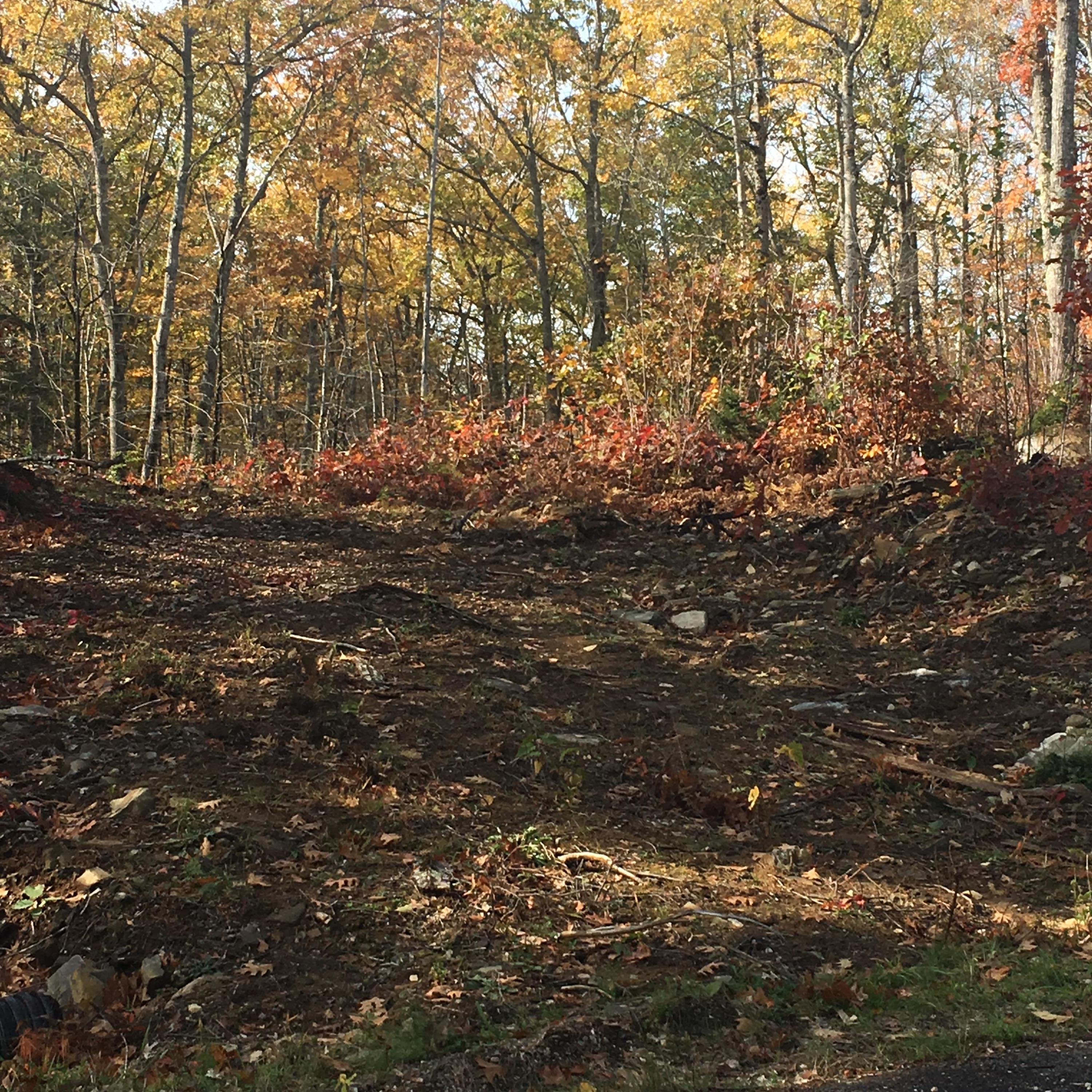 Partially Cleared