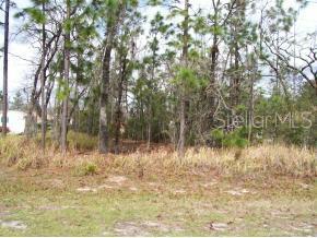 Lot 44 Redwood Road Ocala, FL 34472 - Photo 1 of 1 Primary Photo