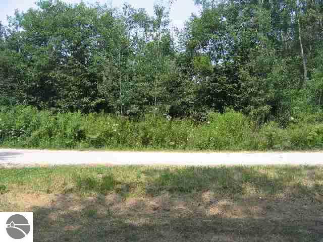 21285 Parkview Road Tustin, MI 49688 - Photo 9 of 13 1677467-8.JPG