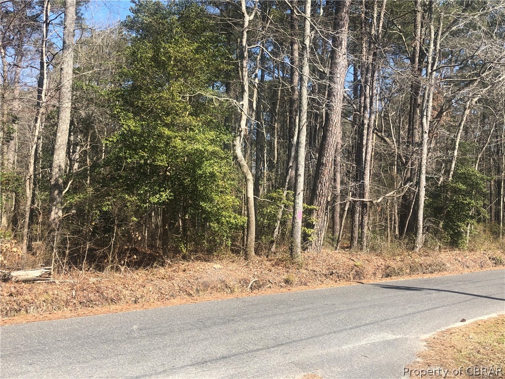 0 Crab Neck Road Hudgins, VA 23076 - Photo 2 of 4