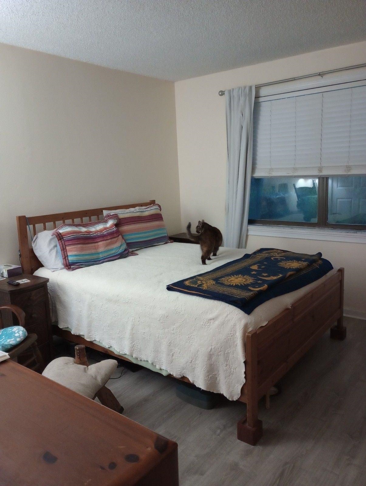 650 West Pope Road, Unit 221 St. Augustine, FL 32080 - Photo 4 of 10 a bedroom with a bed and a window