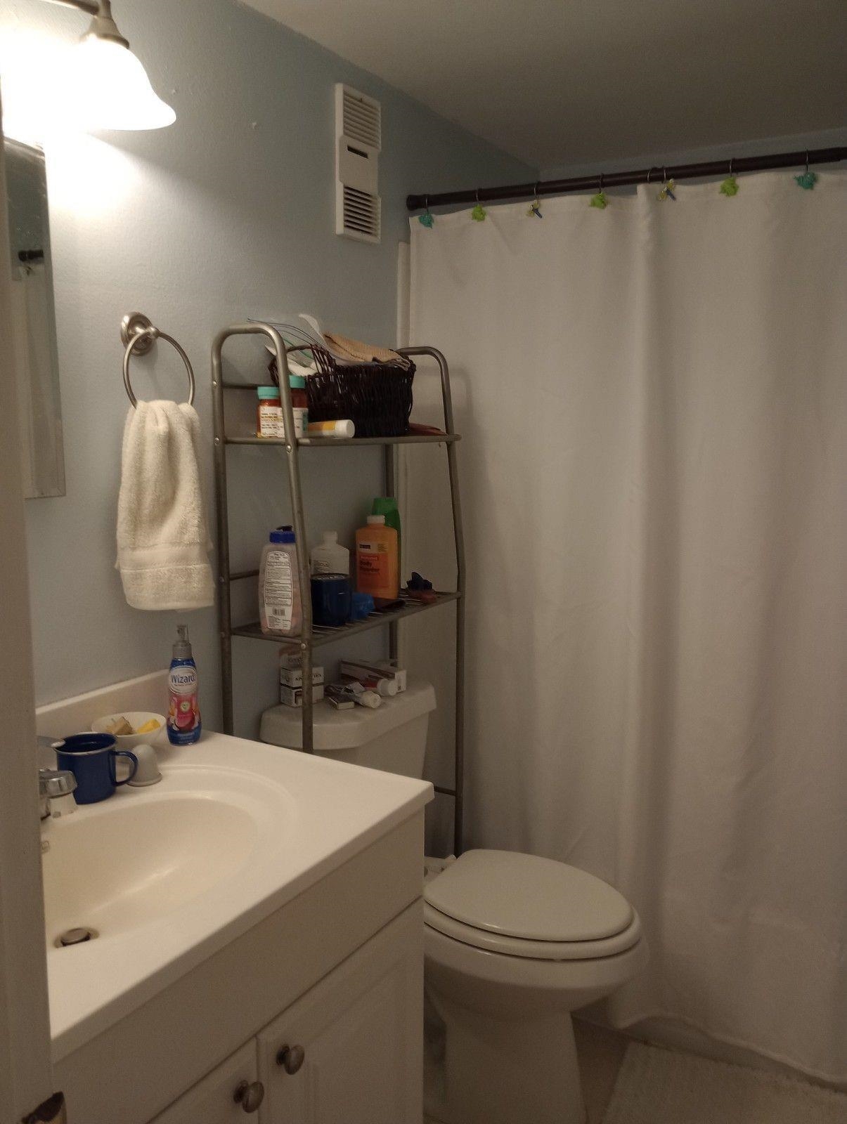 650 West Pope Road, Unit 221 St. Augustine, FL 32080 - Photo 7 of 10 a bathroom with a sink a toilet and a mirror
