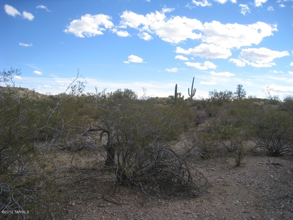 6135 West Sunset Road, Unit APPROX Tucson, AZ 85743 - Photo 13 of 15