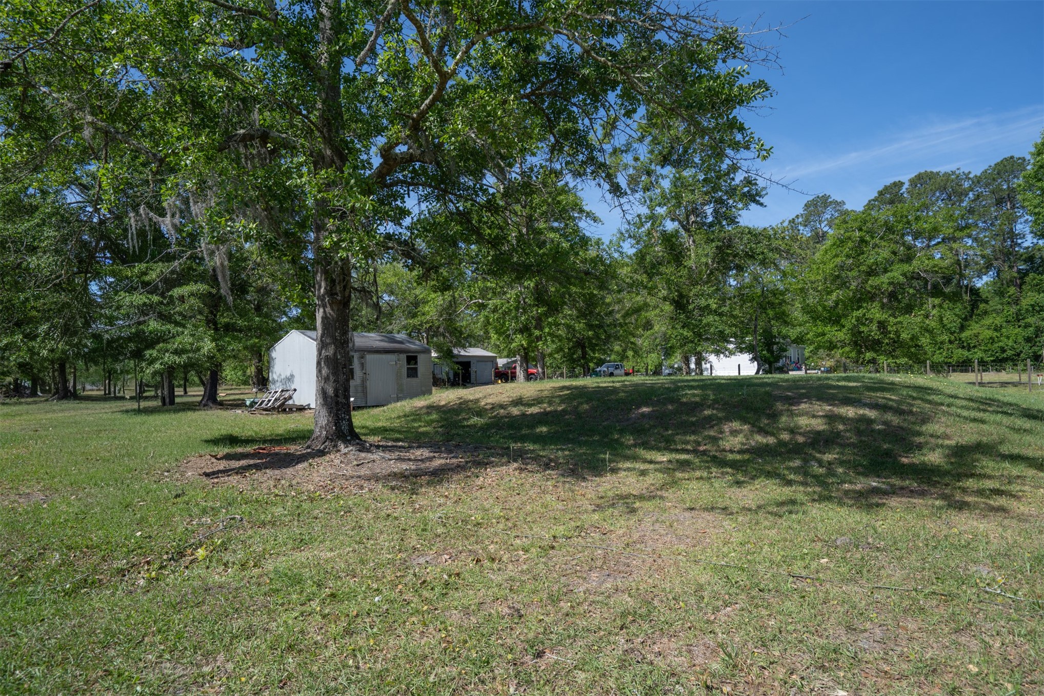 76220 Dove Road Yulee, FL 32097 - Photo 38 of 48 a view of a tree in a yard