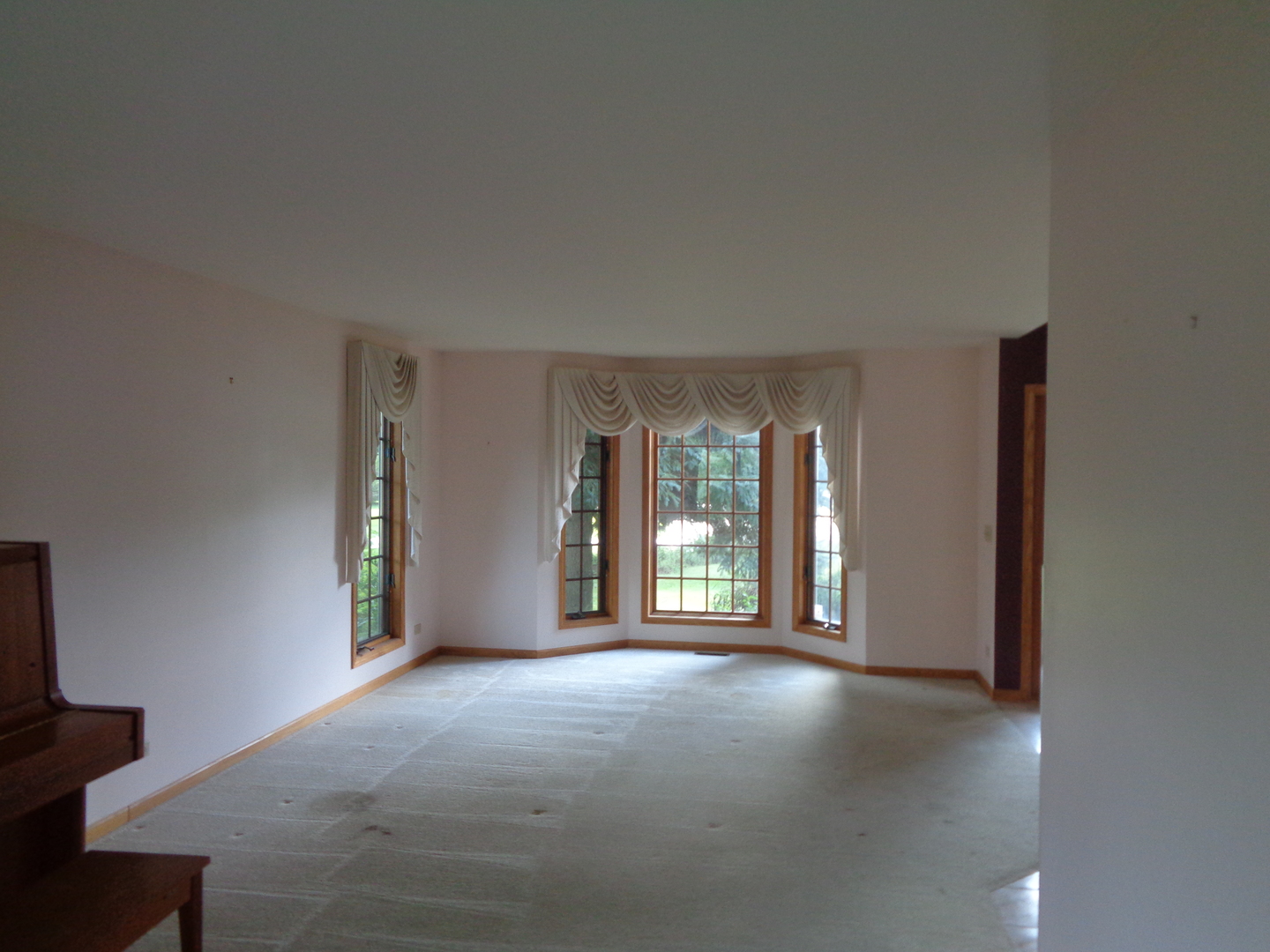 1808 Elm Street Spring Grove, IL 60081 - Photo 7 of 19