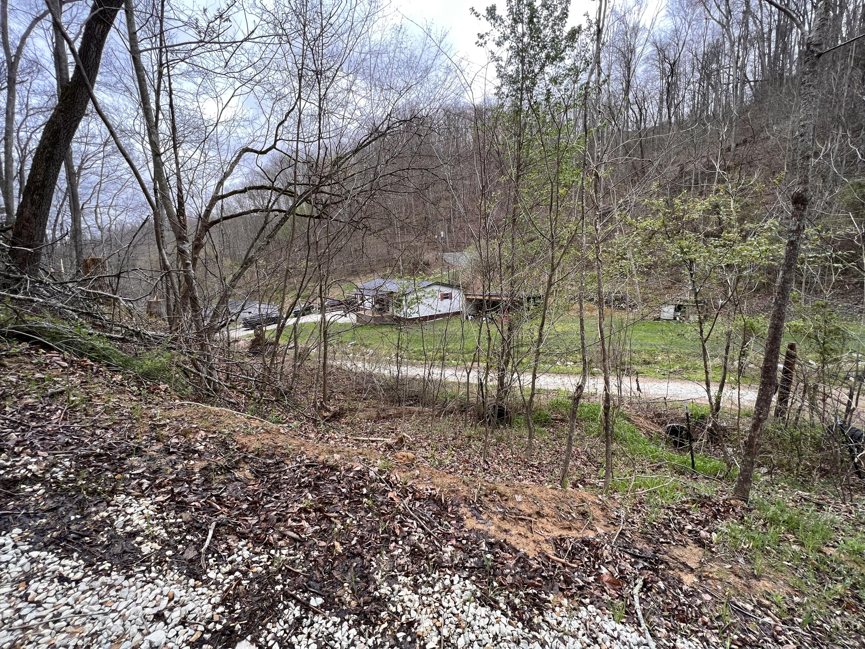 858 Little Lick Fork Road East Point, KY 41216 - Photo 66 of 74 Photo Apr 14, 11 50 27 AM