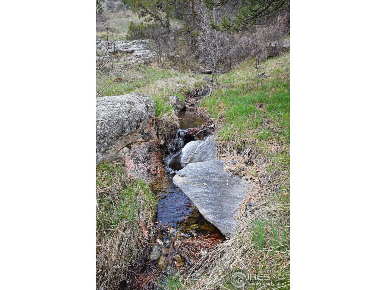 15435 Lazuli Road Loveland, CO 80538 - Photo 25 of 25 Seasonal creek below house