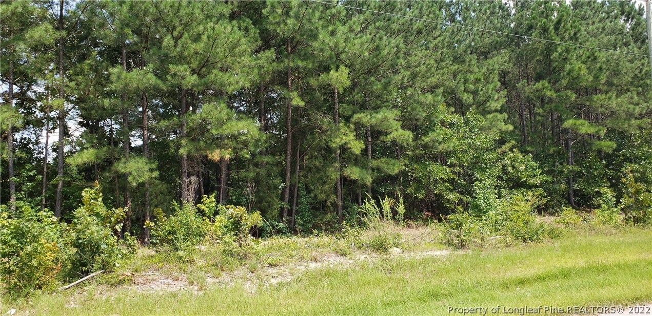 555 Bryant Road Carthage, NC 28327 - Photo 4 of 4 a view of a yard