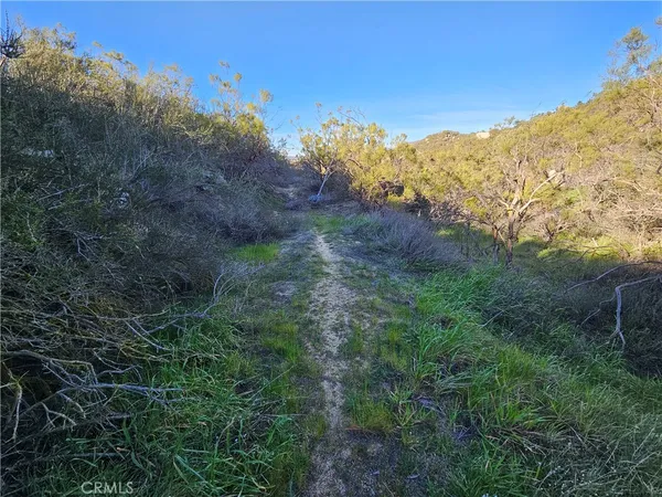 a view of a field