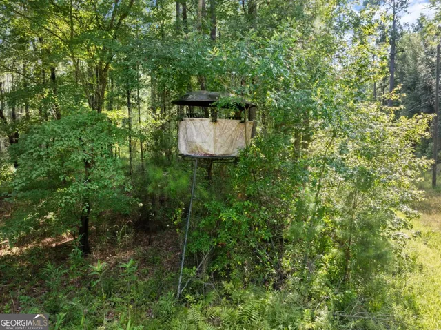 a view of a back yard