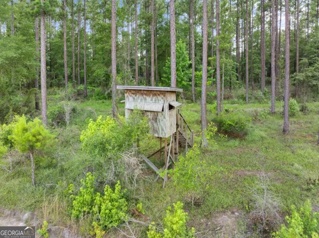 a green field with lots of trees