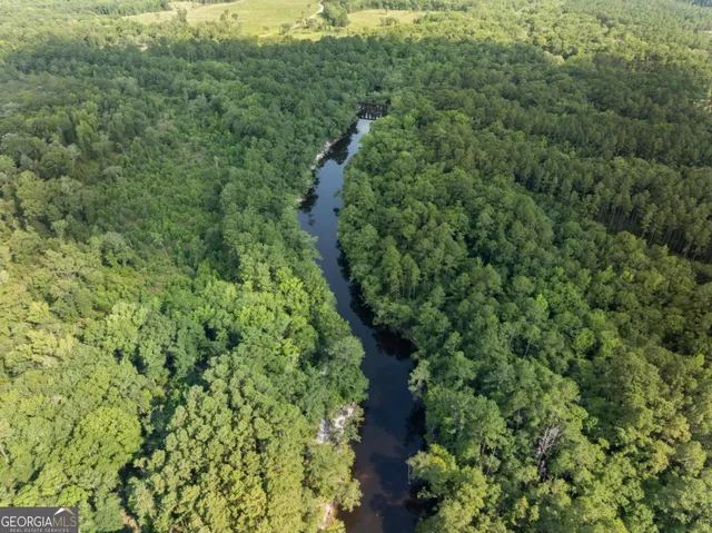 a view of a lush green forest with lots of trees