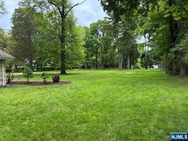 19 Crescent Road Wayne, NJ 07470 - Photo 26 of 26 a view of a park with large trees