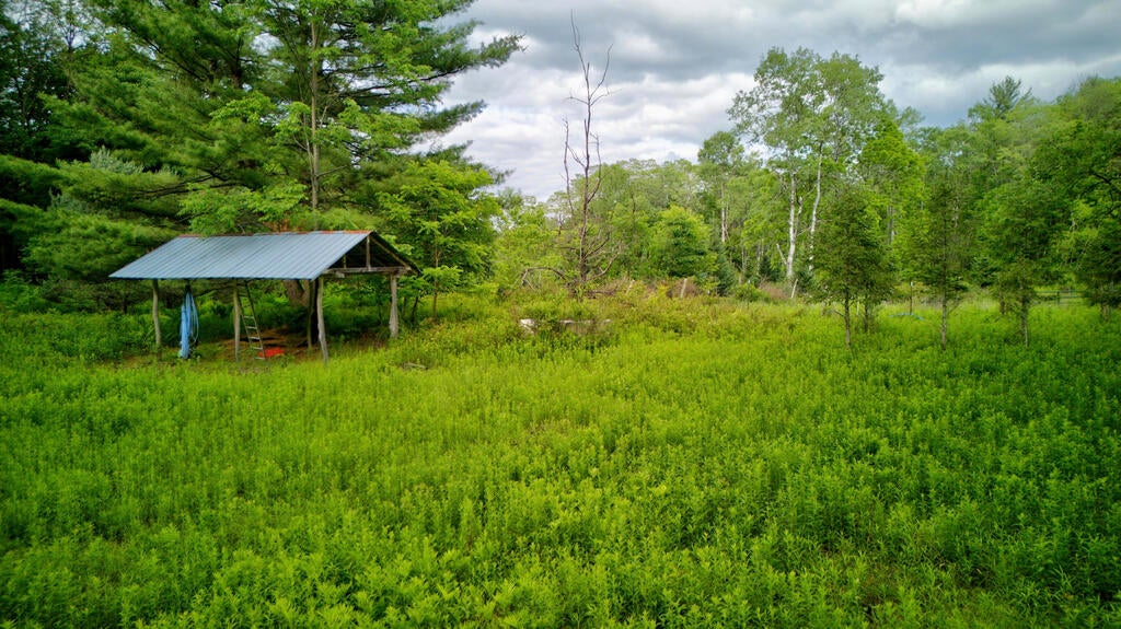 2000 Bucks Creek Road Gillett, PA 16925 - Photo 20 of 20 Gallery Image 20