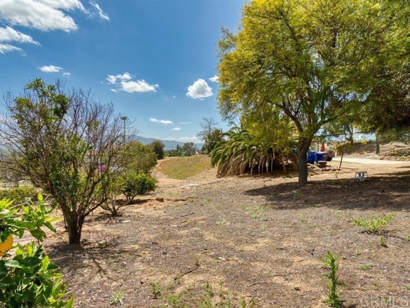 13913 Via De Jamul Jamul Ca Jamul, CA 91935 - Photo 62 of 67 a view of a yard with a tree
