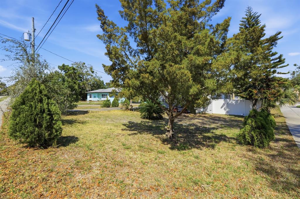 231 North Ridgewood Avenue Ormond Beach, FL 32174 - Photo 45 of 52 a view of yard with trees