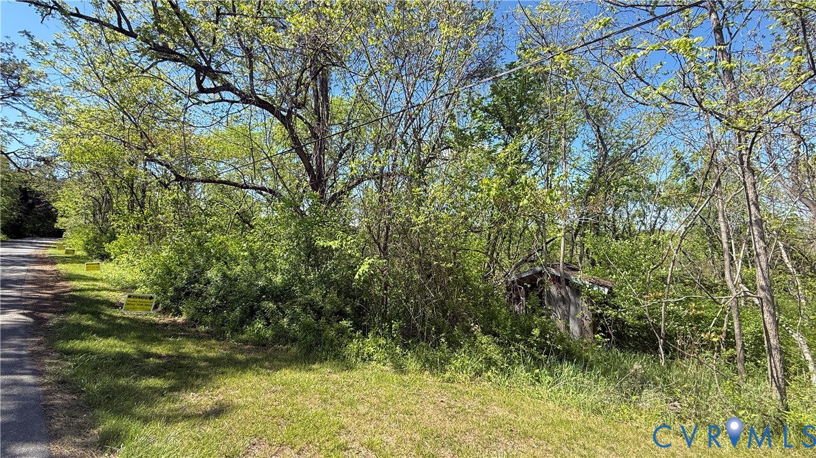 0 Trebark Road Buchanan, VA 24066 - Photo 1 of 6 a view of a yard