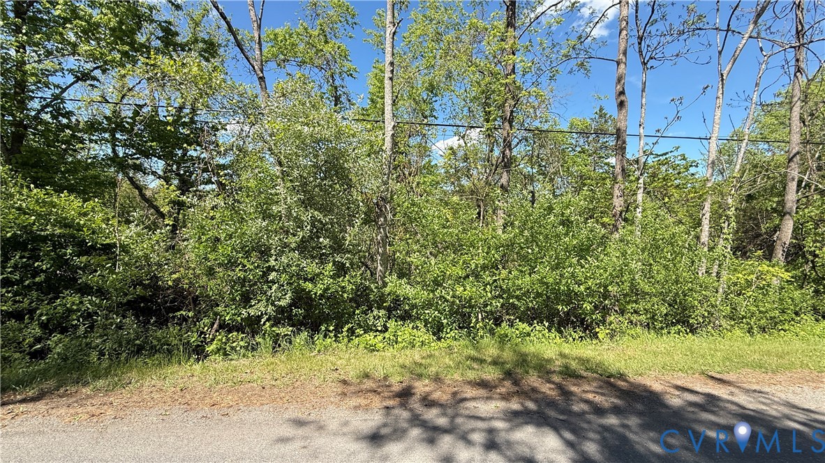 0 Trebark Road Buchanan, VA 24066 - Photo 2 of 6 a view of a yard with plants and large trees