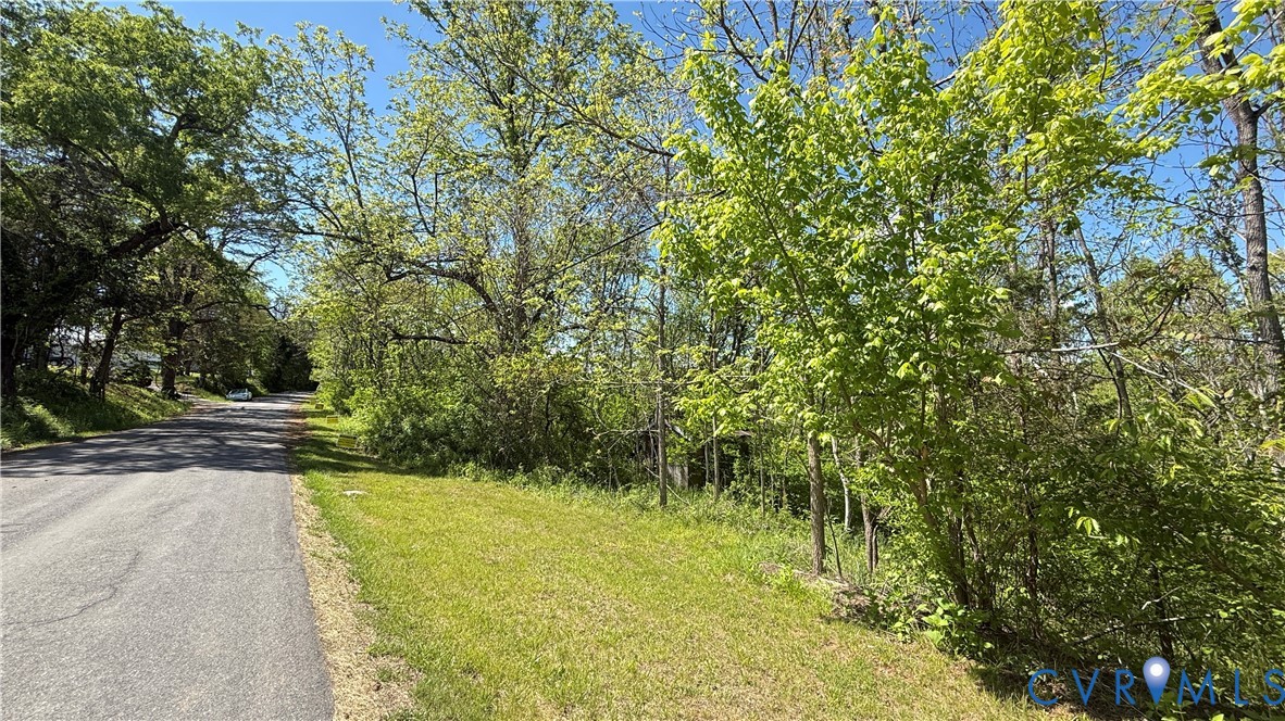 0 Trebark Road Buchanan, VA 24066 - Photo 3 of 6 a view of a yard with plants and trees