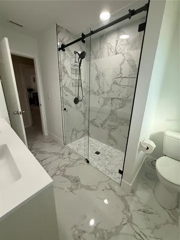 a bathroom with a shower and a toilet