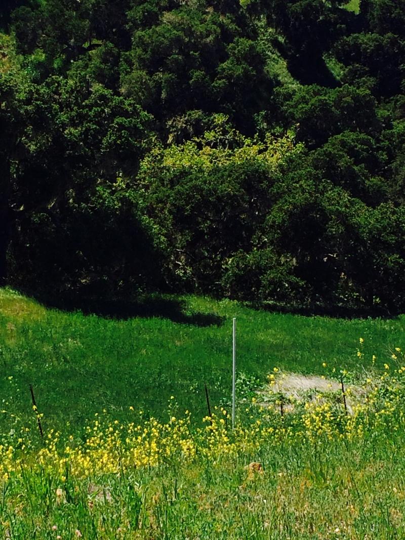 0 Santa Rosa Road Buellton, CA 93427 - Photo 4 of 14 4