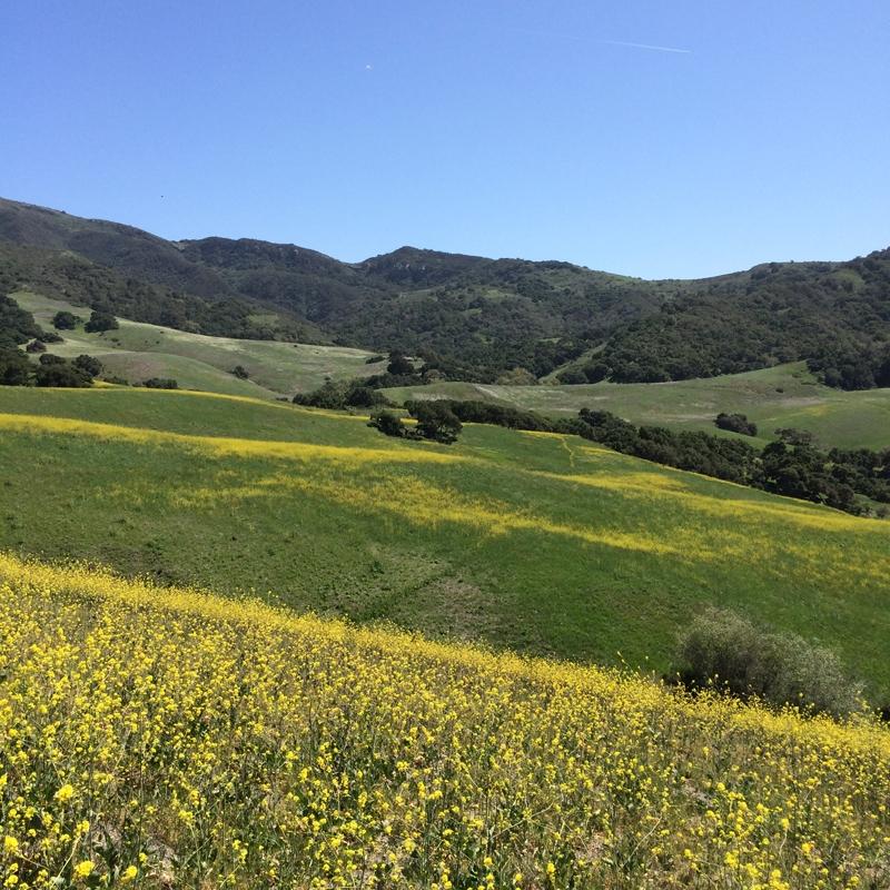 0 Santa Rosa Road Buellton, CA 93427 - Photo 10 of 14 10