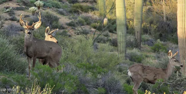 a view of small yard