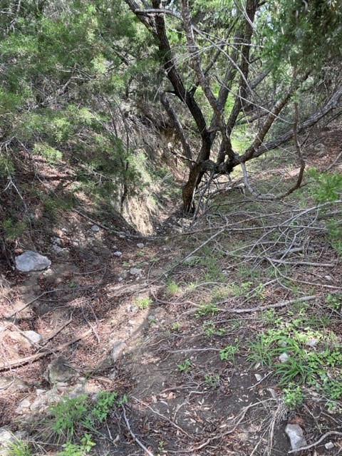 2250 Walter White Road Leakey, TX 78873 - Photo 11 of 21