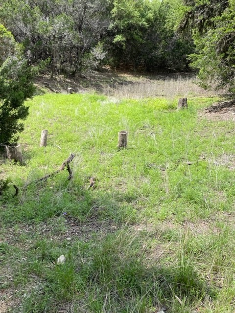 2250 Walter White Road Leakey, TX 78873 - Photo 12 of 21 a view of a lake view