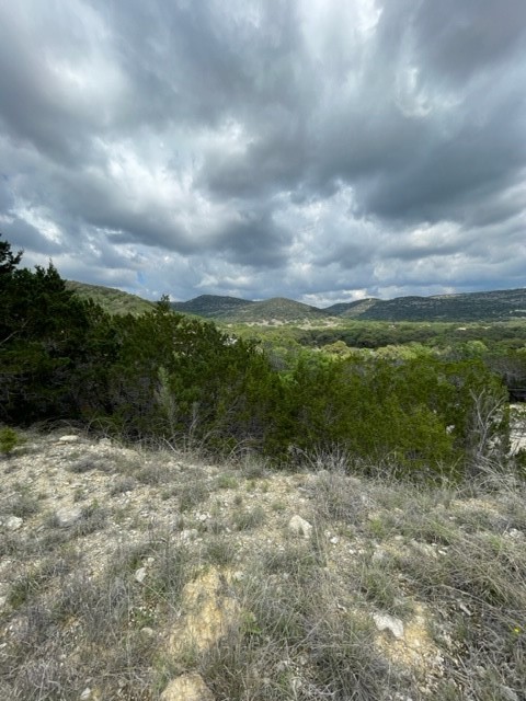 2250 Walter White Road Leakey, TX 78873 - Photo 14 of 21 a view of an outdoor space and deck