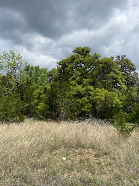 2250 Walter White Road Leakey, TX 78873 - Photo 19 of 21 a view of a yard