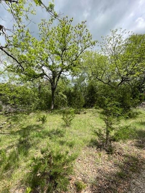 2250 Walter White Road Leakey, TX 78873 - Photo 20 of 21
