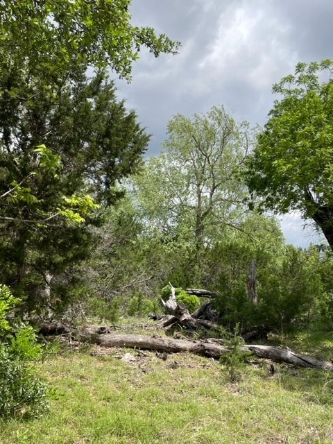 2250 Walter White Road Leakey, TX 78873 - Photo 21 of 21